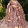 Gulbagh Organza Anarkali Set