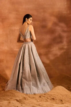 Aria Lehenga Set -Lillys Clothing Shop 0P2A0742 500x 6c79bb02 e8d5 4ec5 89b8 e69f9cc65808
