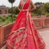 Pink Woven Banarasi Ogee Pattern Lehenga Set -Lillys Clothing Shop 1 0032205001682681833