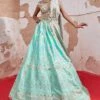 Blue Woven Chanderi Banarasi Lehenga Set -Lillys Clothing Shop 1 0847978001682681826