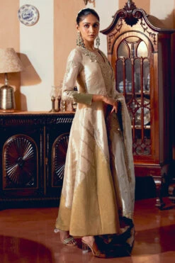 Pearl Gold Silk Zari Tissue Anarkali -Lillys Clothing Shop 120