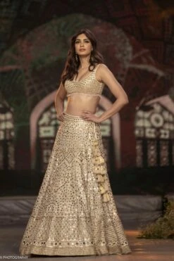 Daina Penty In Daina Lehenga Set