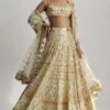 Shaira Lehenga Set 13 Shaira Lehenga Set -Lillys Clothing Shop 1219 Mint 1