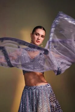 Tonal Grey Lehenga Set -Lillys Clothing Shop 1588 11330 1638107106