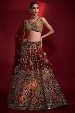 Wine Mirror Lehenga Set 9 Wine Mirror Lehenga Set -Lillys Clothing Shop 1594 11377 1638108108