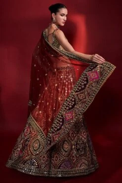 Wine Mirror Lehenga Set 11 Wine Mirror Lehenga Set -Lillys Clothing Shop 1594 11377 1638108114