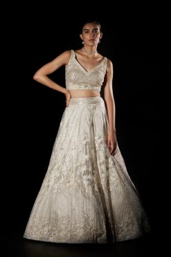 Tonal Off White Net Lehenga Set