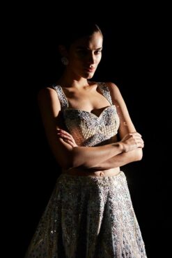 Ice Blue Applique Raw Silk Lehenga Set -Lillys Clothing Shop 1624 11636 1654342014