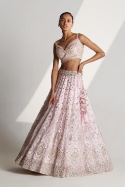 Blush Pink Organza Lehenga Set -Lillys Clothing Shop 1632 11692 1654344200