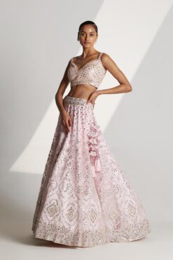 Blush Pink Organza Lehenga Set -Lillys Clothing Shop 1632 11692 1654344204