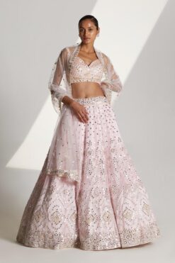 Blush Pink Organza Lehenga Set