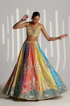 Multi Panel Mirrorwork Lehenga Set