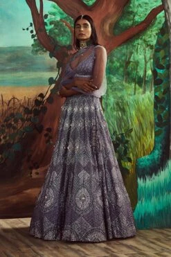 Tonal Periwinkle Lehenga Set -Lillys Clothing Shop 1657 11919 1667482683