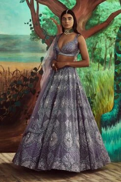 Tonal Periwinkle Lehenga Set -Lillys Clothing Shop 1657 11919 1667482686