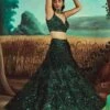 Tonal Emerald Green Lehenga Set 17 Tonal Emerald Green Lehenga Set -Lillys Clothing Shop 1660 11950 1667484372