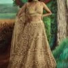 Gold Trail Lehenga Set