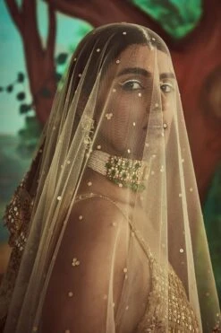 Gold Trail Lehenga Set -Lillys Clothing Shop 1666 11998 1667486643