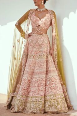 Light Rust Embroidered Bridal Lehenga