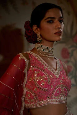 Rani Tiered Lehenga -Lillys Clothing Shop 1 700x 6a3674b6 fd02 4f28 b65f c71b322bffa7