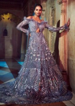 Grey Embroidered Gown With Long Tails