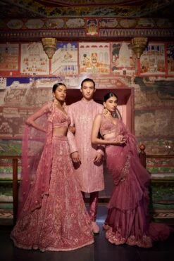 Mauve Embroidered Pre Draped Saree -Lillys Clothing Shop 220804 16 113 1 5000x b2dcb588 9f5b 47d6 ba36 e9582d7af165