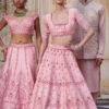 Pink Embroidered Lehenga With Draped Dupatta