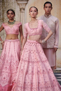 Pink Embroidered Lehenga With Draped Dupatta