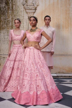 Embroidered Pink Lehenga With Drape Dupatta