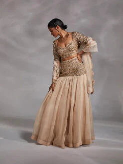 Hayden Lehenga Set 10 Hayden Lehenga Set -Lillys Clothing Shop 232A9618 500x c3033262 6cb5 4482 b1d5 333de2c52b8b