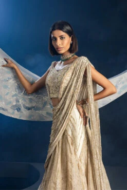 Moonlit Echo Saree -Lillys Clothing Shop 244 1024x1024 b18fbb75 11aa 4647 947d f2f82cdf94a3