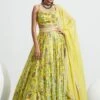 Yellow Satin Organza Daniya Botanical Print Lehenga Set -Lillys Clothing Shop 256 1800x1800 c6f6e014 916c 4564 8074 5747d62e371b
