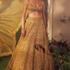 Amber Gold Tulle Lehenga