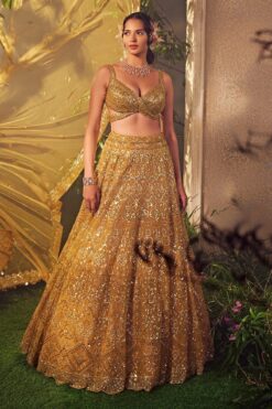 Amber Gold Tulle Lehenga