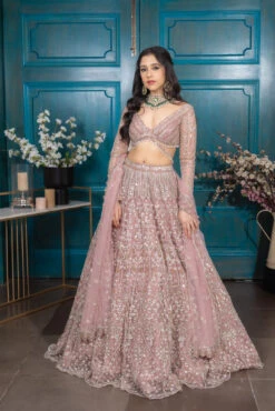 Aurora Biscotti Lehenga -Lillys Clothing Shop 3716e416 ce55 46b7 99f7 e29791813498