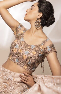 Champaign Organza Pre Stitched Saree -Lillys Clothing Shop 38FD9655 3976 4ECA 9143 348EEB01F5CD