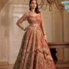 Rust Swan Lehenga -Lillys Clothing Shop 40