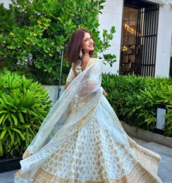 Reha Sukheja In Golconda Shahi Lehenga Set -Lillys Clothing Shop 410191281 18399733114013263 7033122402718820135 n 640x crop center 69dc4869 c17d 483b 92e0 81dab157f9db