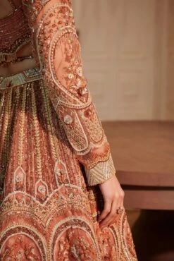 Rust Swan Lehenga -Lillys Clothing Shop 42 1