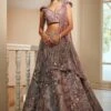 Stardust Glittered Lehenga