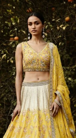 Yellow Hand Embroidered Lehenga Set -Lillys Clothing Shop 4 1100x 8a4da325 c6ba 44aa b9d6 2c92897d8aca