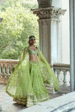 Tulua Lehenga Set