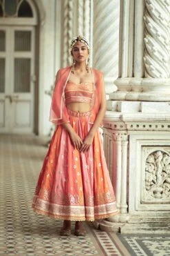 Zarra Lehenga Set -Lillys Clothing Shop 5036 1 1 b506d675 4b05 4a33 b3e3 98dd8dccf6d4