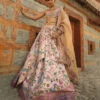 Pink Zari Woven Paithani Lehnga -Lillys Clothing Shop 5W