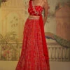 Scarlet Patola One Shoulder Drape Lehenga