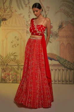 Scarlet Patola One Shoulder Drape Lehenga