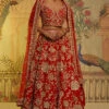 Guldasta Lehenga -Lillys Clothing Shop 5 700x 4247a7ad 89da 4fc3 bed9 921a0370b29a