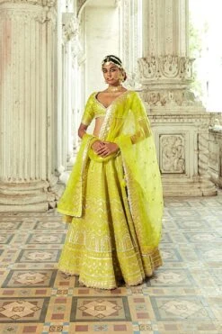 Shahi Lehenga Set