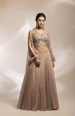 Champaign Georgette Skirt