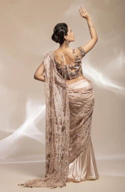 Champaign Organza Pre Stitched Saree -Lillys Clothing Shop 9B5880CC 42D2 4BC9 AE10 13E9A16186BC
