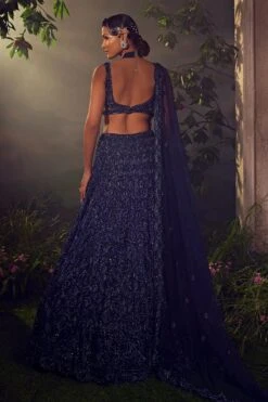 Midnight Blue Tulle Lehenga -Lillys Clothing Shop AA09 08 2310482